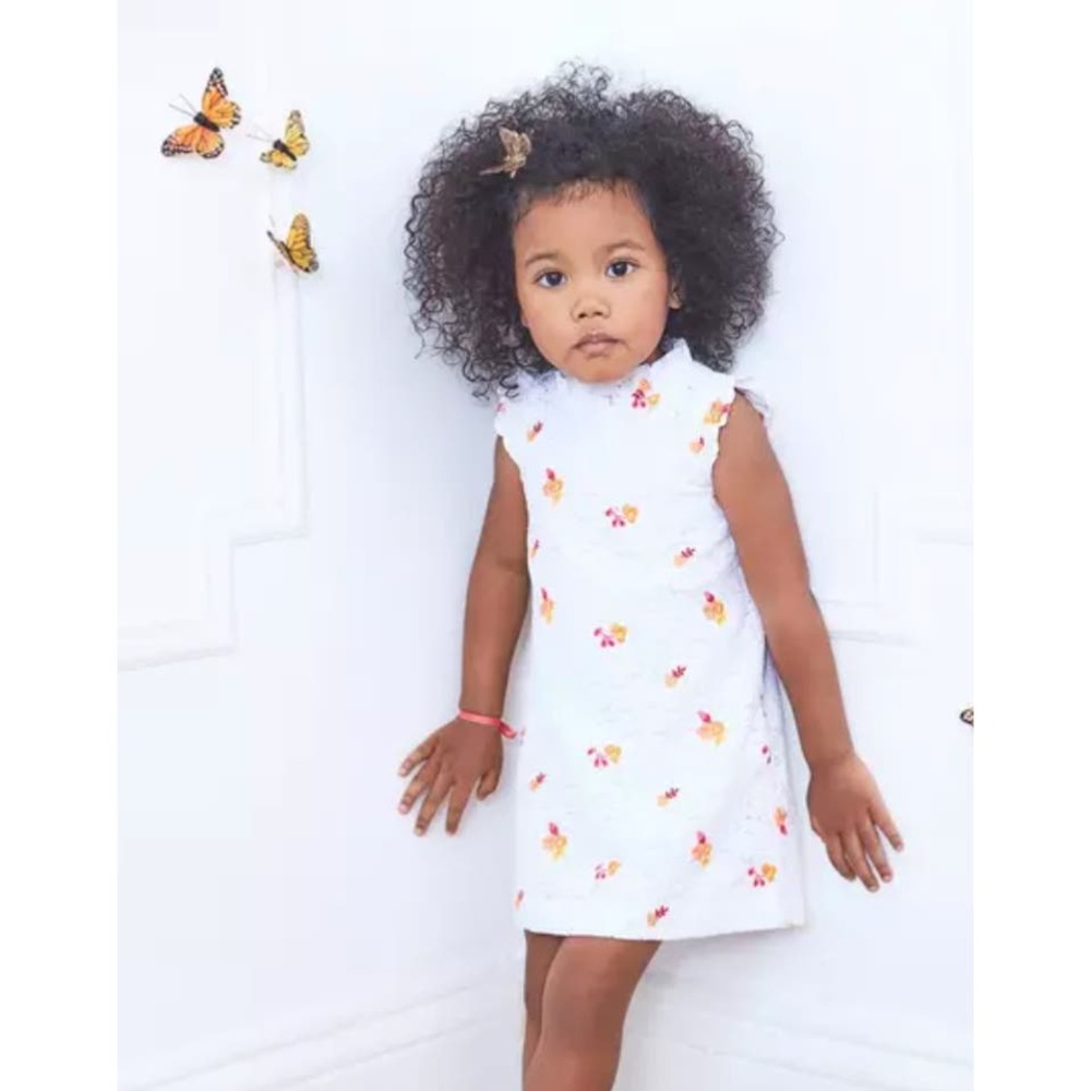 Janie & Jack Girls Lace Embroidered Dress NWT